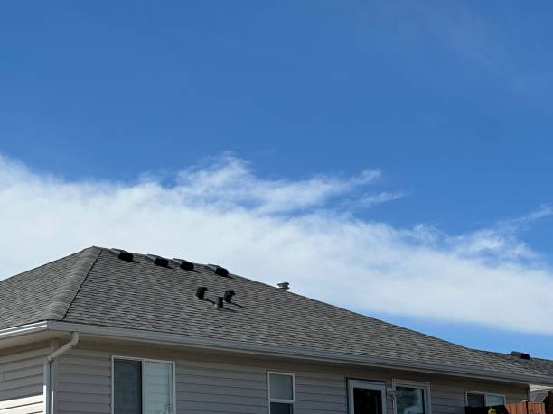 Best Gutter Installation and Repair  in Lewisville, NC